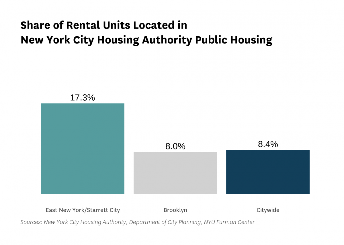 17.3% of the rental units in East New York/Starrett City are public housing rental units in 2020.